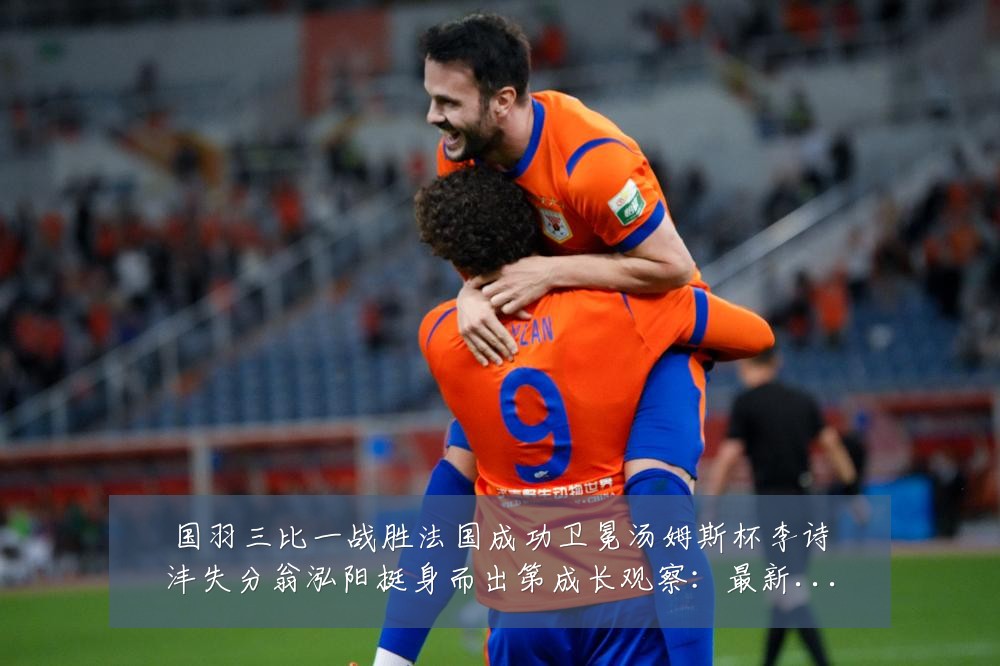 国羽三比一战胜法国成功卫冕汤姆斯杯李诗沣失分翁泓阳挺身而出第成长观察:最新赛事动态与深度分析