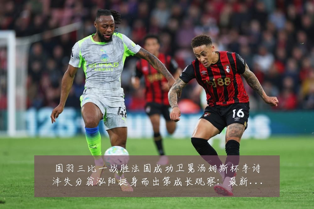 国羽三比一战胜法国成功卫冕汤姆斯杯李诗沣失分翁泓阳挺身而出第成长观察:最新赛事动态与深度分析